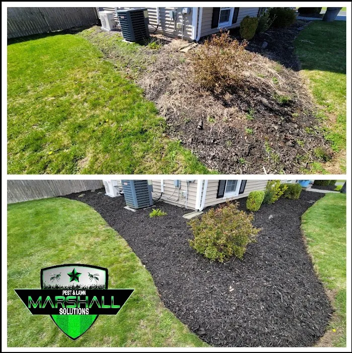 Marshall Pest & Lawn Solutions Picture 9