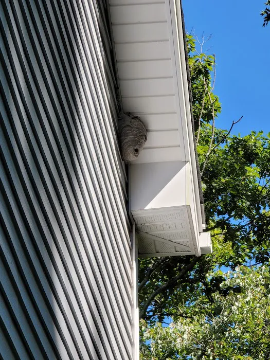 Marshall Pest & Lawn Solutions Picture 10