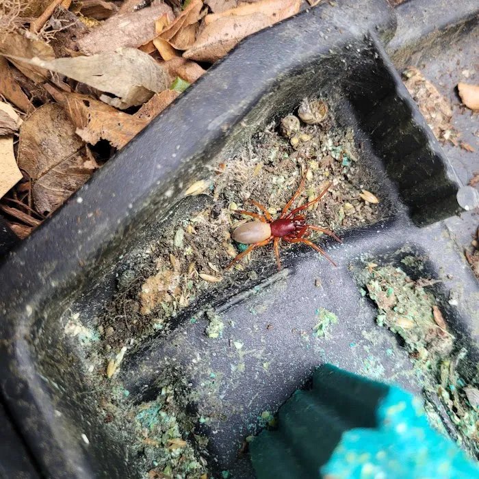 Guardian Pest Control Picture 7