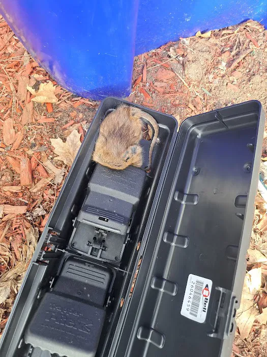 Home & Business Pest Control Picture 1