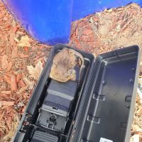 Home & Business Pest Control ico