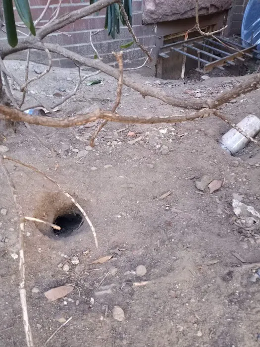 Home & Business Pest Control Picture 7