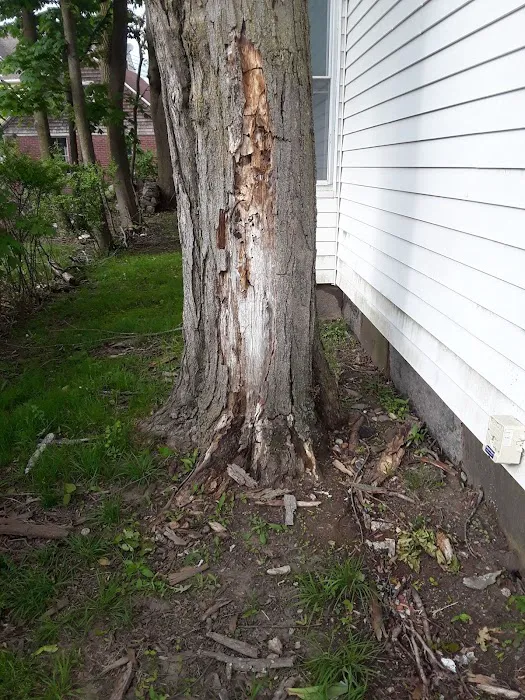 Home & Business Pest Control Picture 8