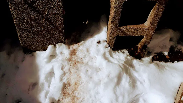 Home & Business Pest Control Picture 10