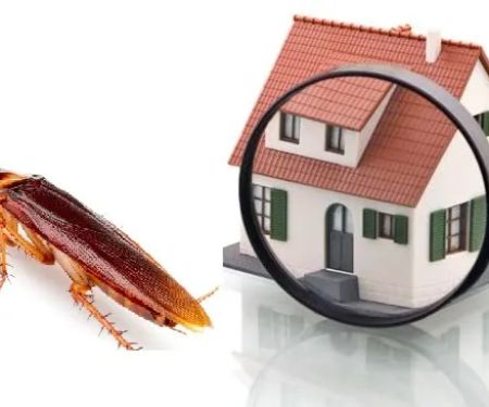 True Pest Control