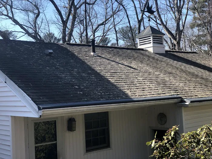Insight Pest Solutions - Boston, MA Picture 6