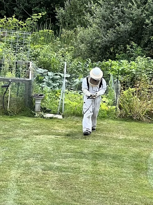 Insight Pest Solutions - Boston, MA Picture 8