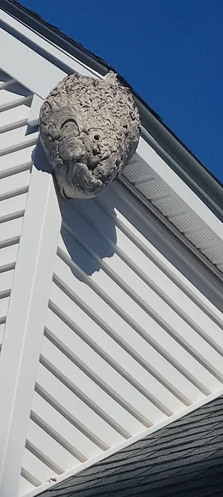 Insight Pest Solutions - Boston, MA Picture 1