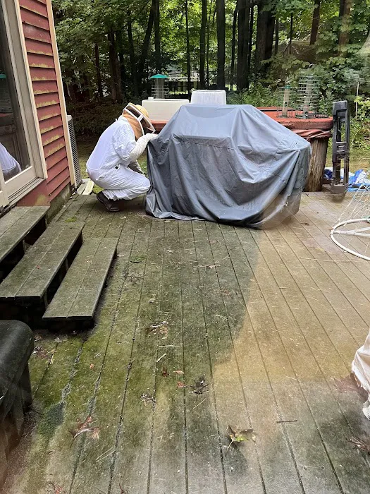 Insight Pest Solutions - Boston, MA Picture 10
