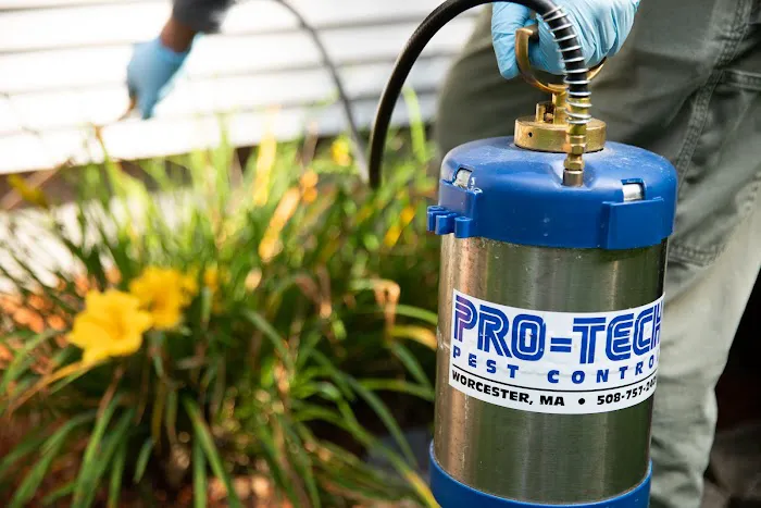 Pro-Tech Pest Control Picture 2