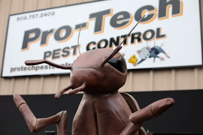 Pro-Tech Pest Control Picture 4