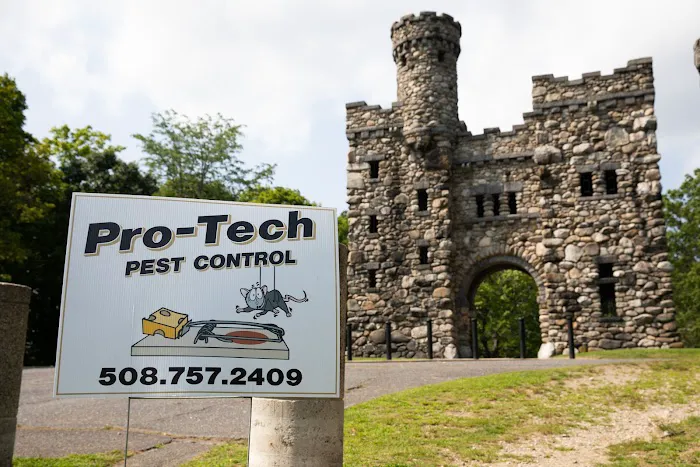 Pro-Tech Pest Control Picture 6