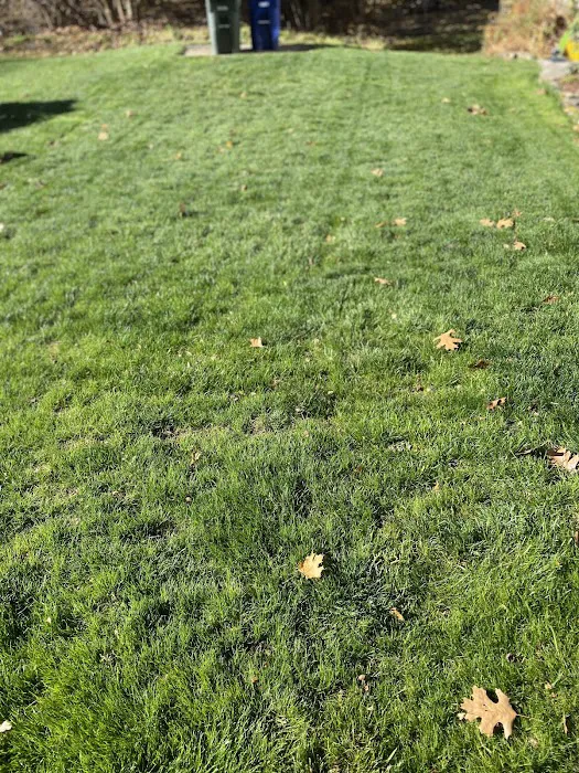 Colonial Pest Control Inc. Picture 6