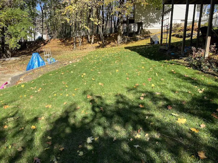 Colonial Pest Control Inc. Picture 5