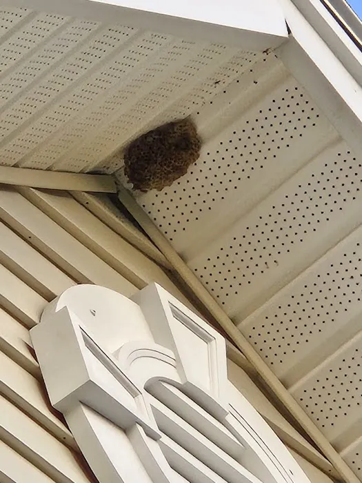 Colonial Pest Control Inc. Picture 2