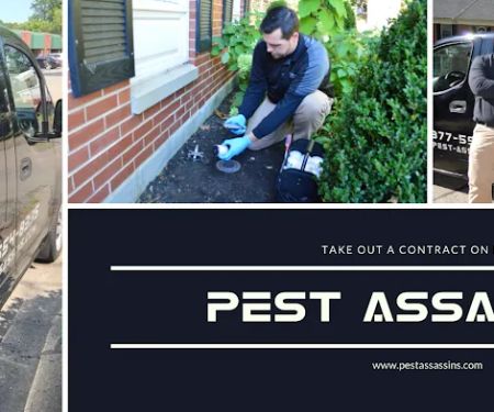 Pest Assassins