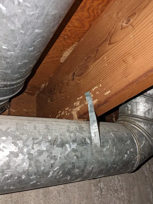Martin Pest Control Picture 4