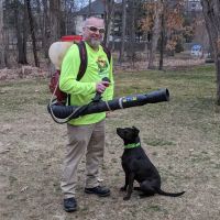The Mosquito Guy ico