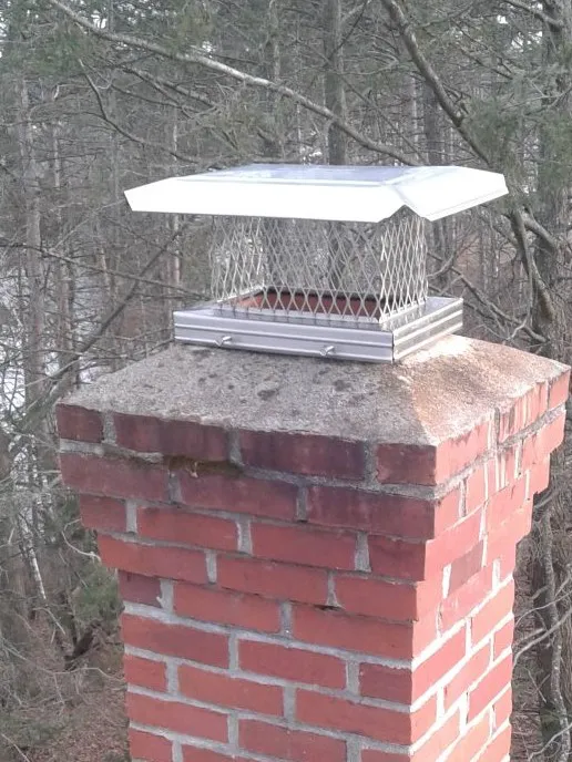 Critter Control Central, MA Picture 5