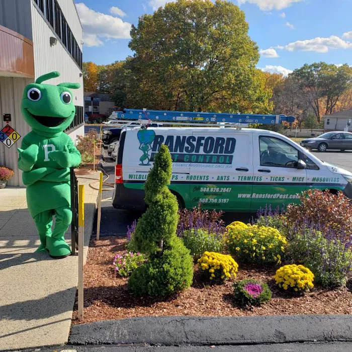 Ransford Pest Control Picture 10