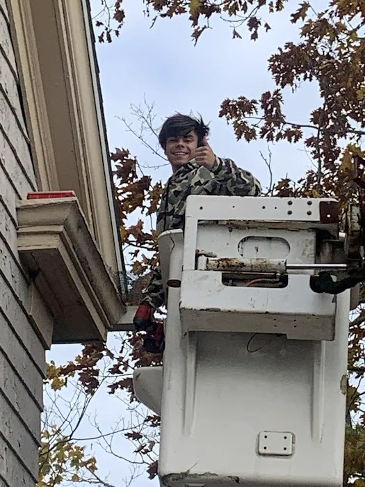 Reliable Pest Control Picture 2