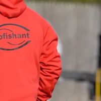 profishant, Inc ico
