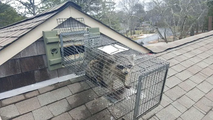 Spartan Animal and Pest Control Picture 6