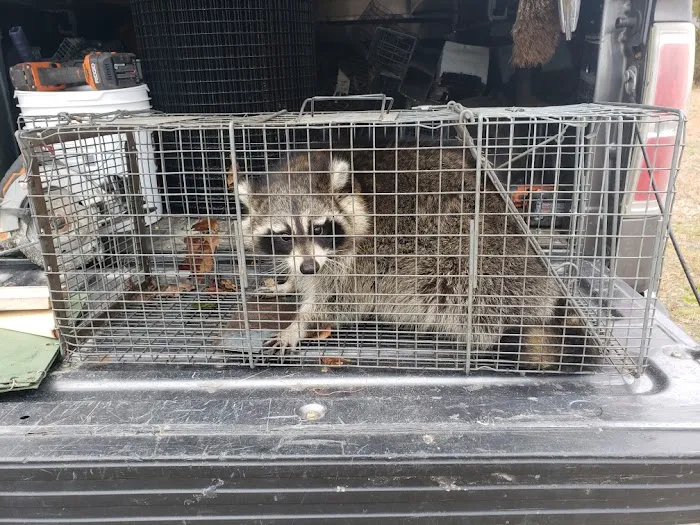 Spartan Animal and Pest Control Picture 10