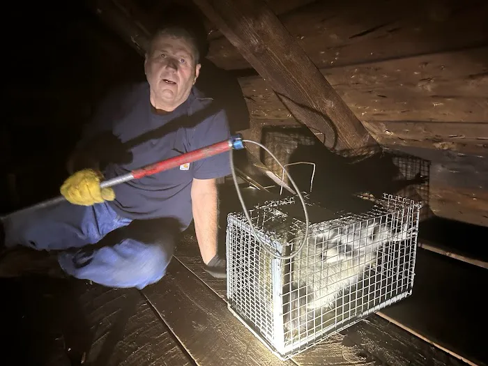 First Call Animal and Pest Control Picture 8
