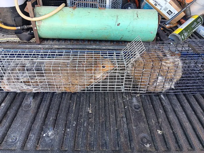 First Call Animal and Pest Control Picture 5
