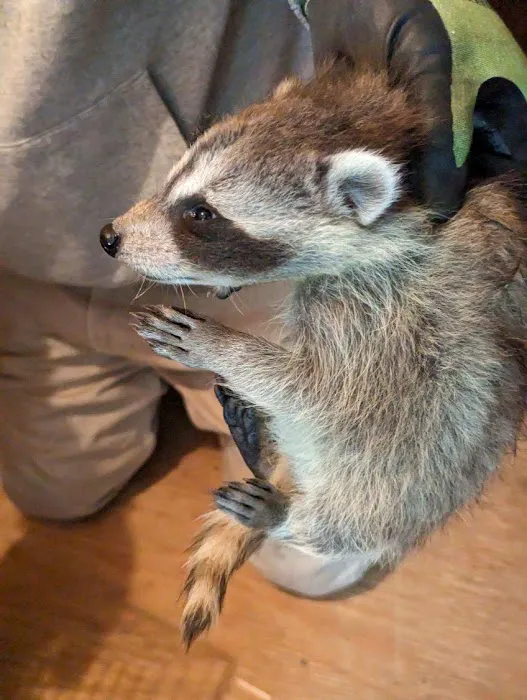 First Call Animal and Pest Control Picture 10