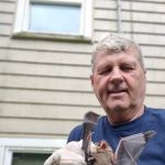 First Call Animal and Pest Control