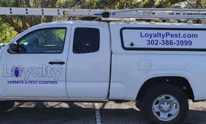 Loyalty Termite & Pest Control Picture 2