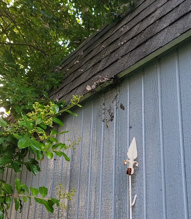 Loyalty Termite & Pest Control Picture 6