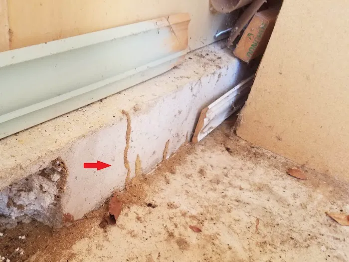 Loyalty Termite & Pest Control Picture 4