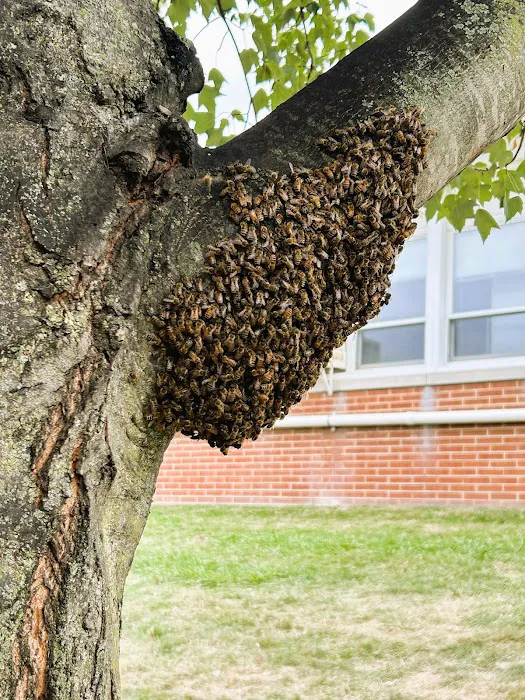 Keystone Pest Solutions, LLC Picture 5