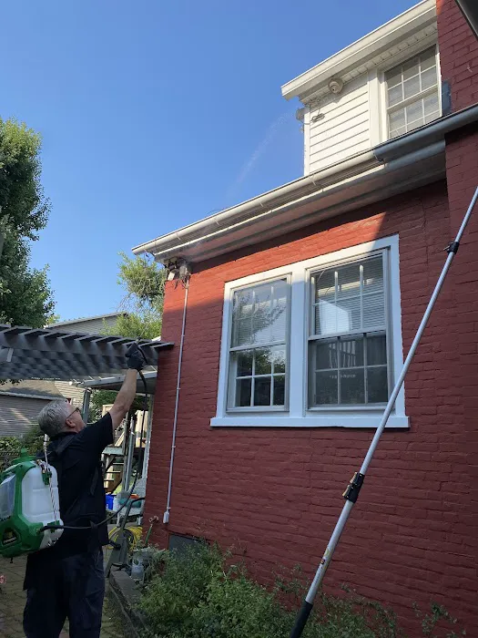Keystone Pest Solutions, LLC Picture 1