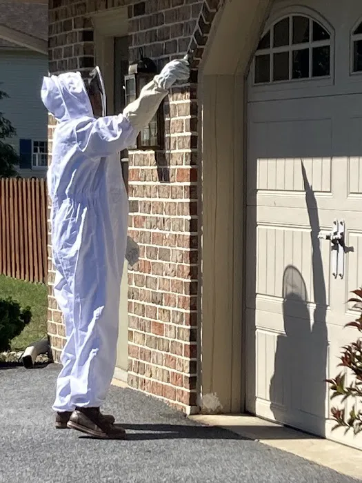 Keystone Pest Solutions, LLC Picture 6