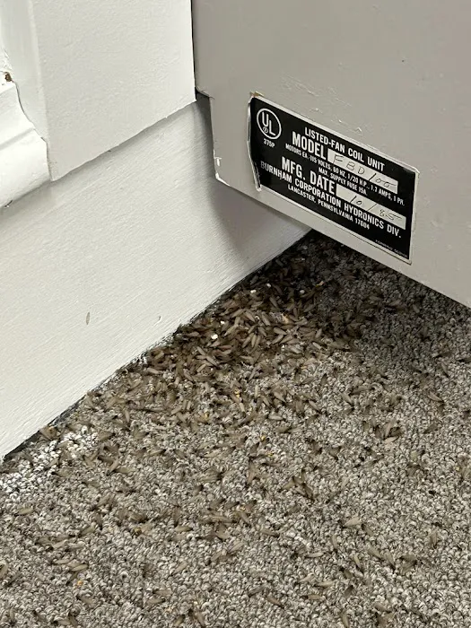 Keystone Pest Solutions, LLC Picture 10