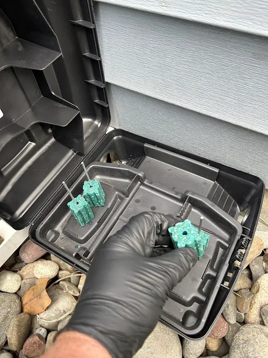 Keystone Pest Solutions, LLC Picture 8