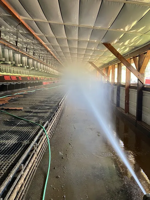 Beitzel's Spraying Picture 9