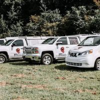 The Pest Rangers Hazleton: Termite and Pest Control ico