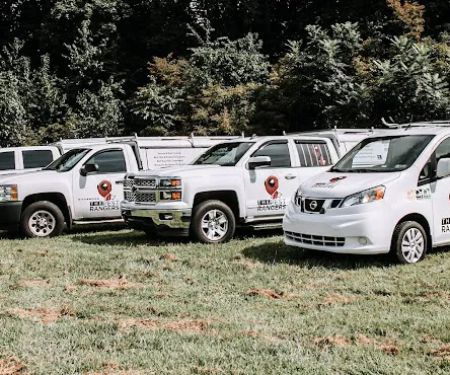 The Pest Rangers Hazleton: Termite and Pest Control