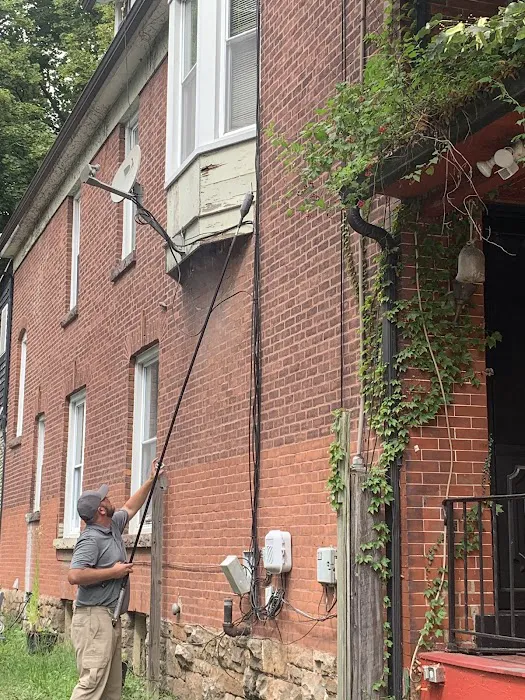 The Pest Rangers Hazleton: Termite and Pest Control Picture 10