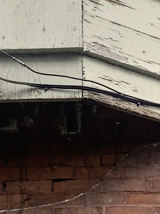 The Pest Rangers Hazleton: Termite and Pest Control Picture 8