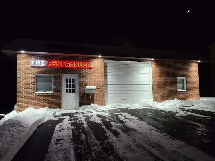 The Pest Rangers Hazleton: Termite and Pest Control Picture 9