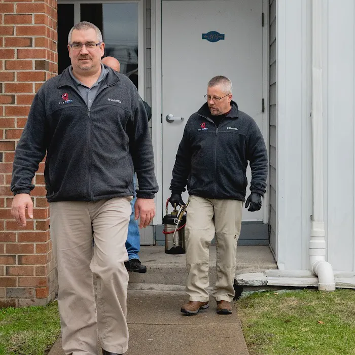 The Pest Rangers Hazleton: Termite and Pest Control Picture 6