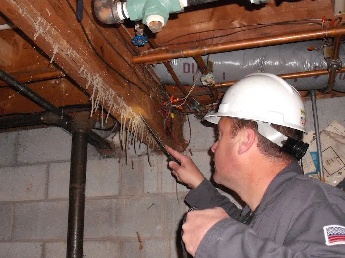 Keystone Pest Management Picture 3