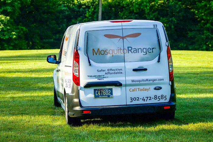 Mosquito Ranger Picture 8