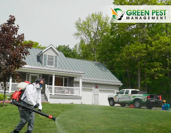 Green Pest Management Picture 9